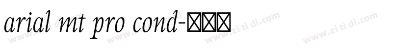 arial mt pro cond字体转换